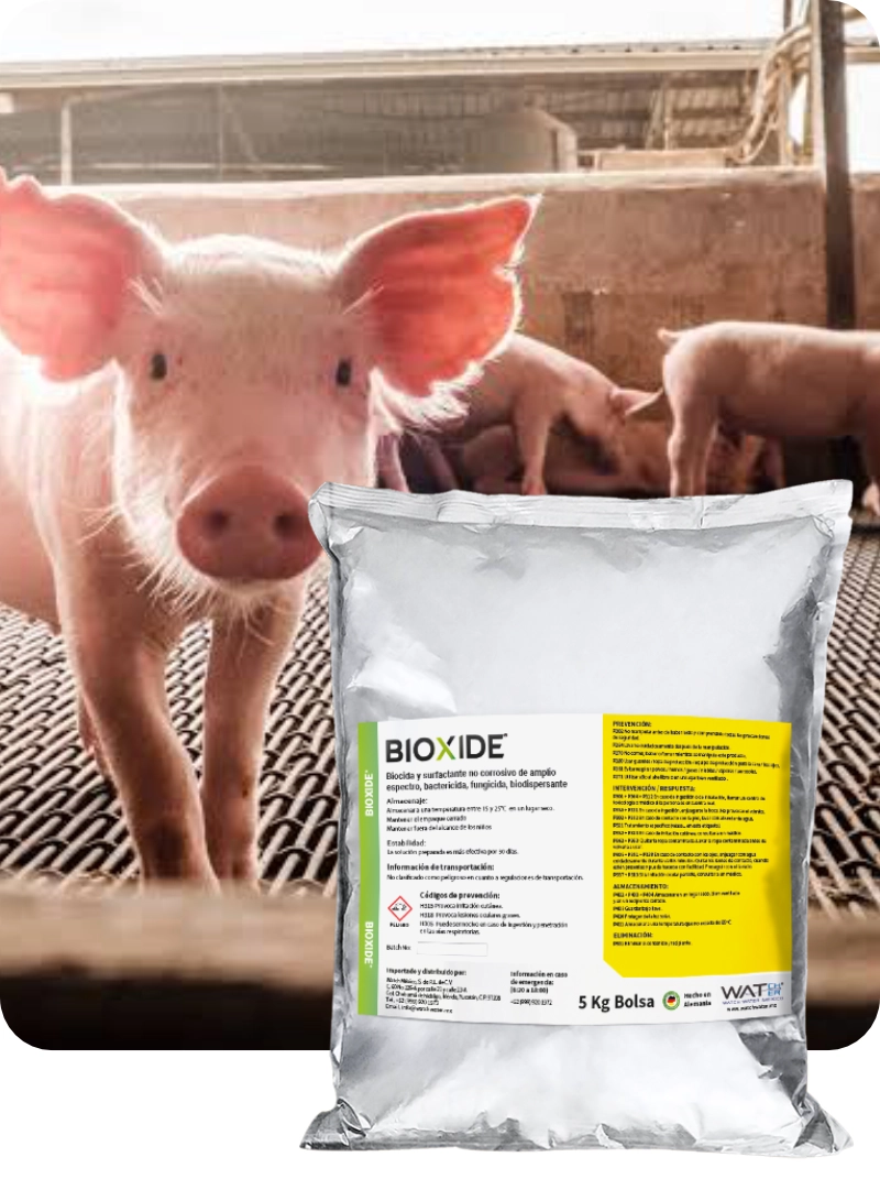 Bioxide